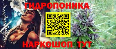 дживик Гатчина