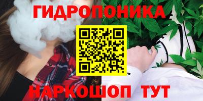 тгк Гай